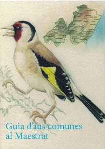 Book Cover: CAT002 Catàleg Exposició Aus Comunes al Maestrat